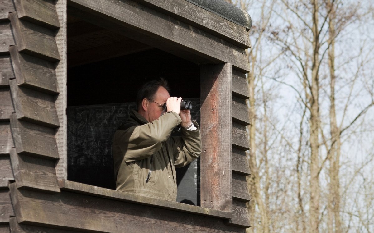Birdwatching