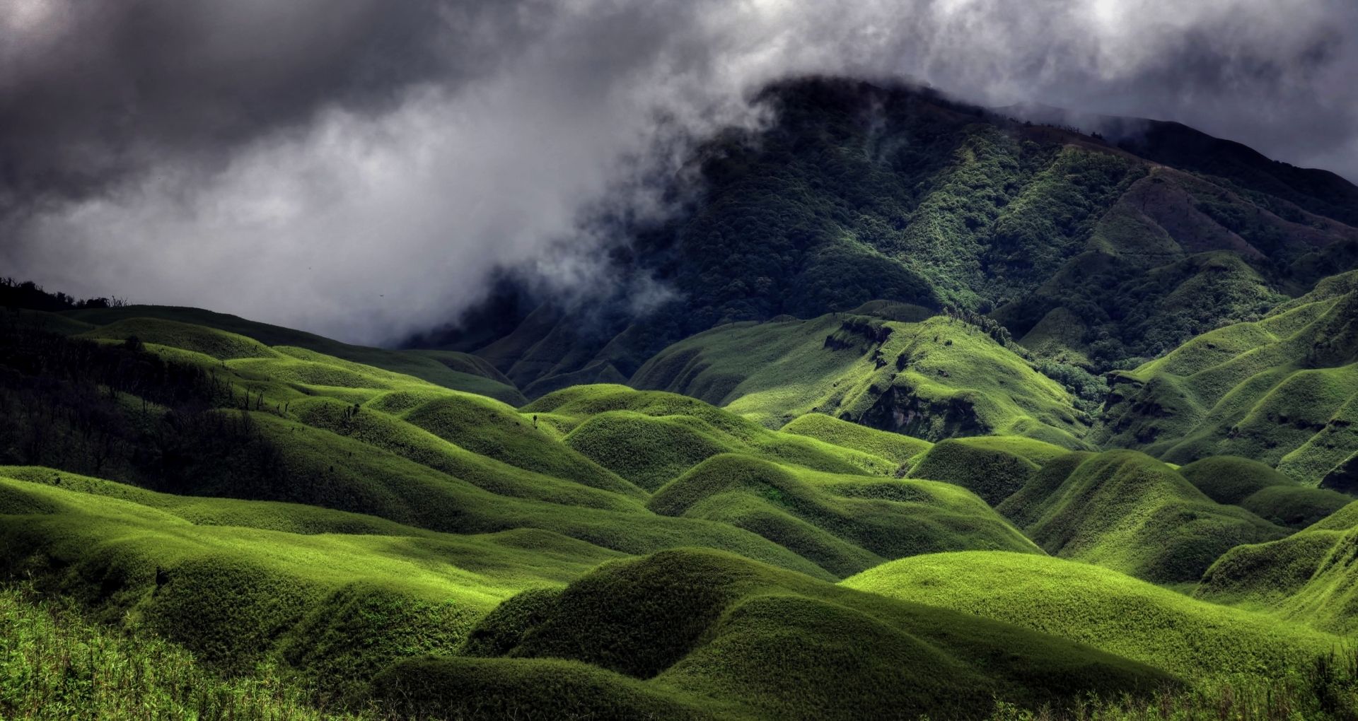 Nagaland